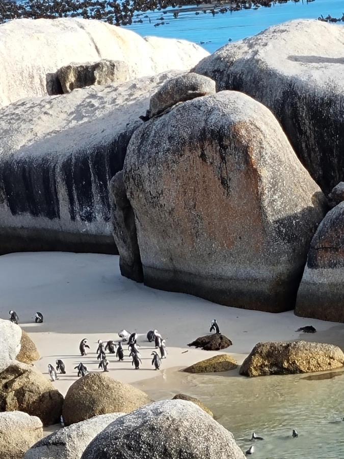 Boulders Beach House Simon's Town Luaran gambar